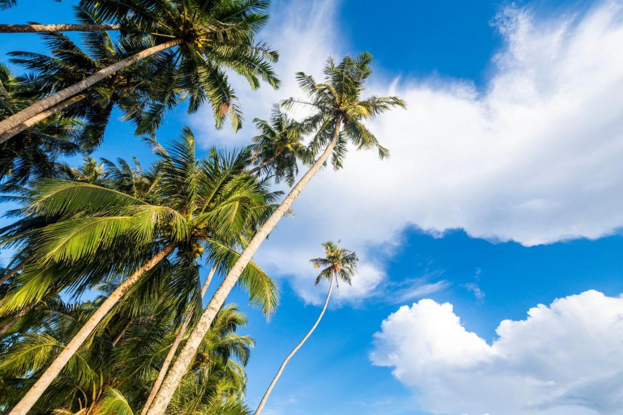 Tailana Island Pulau Banyak Alaban Exterior foto
